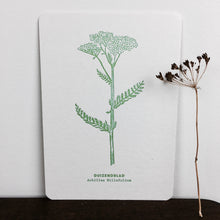 LETTERPRESS KAART - set van 5 incl. enveloppes