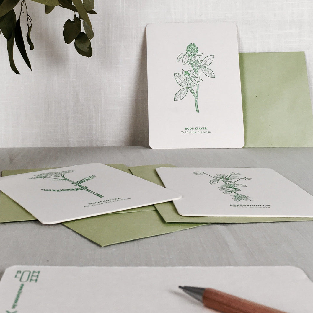 LETTERPRESS KAART - set van 5 incl. enveloppes