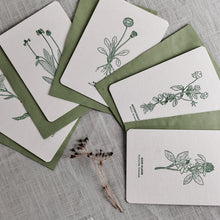 LETTERPRESS KAART - set van 5 incl. enveloppes