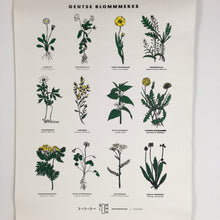 GENTSE BLOMMMEKES - zeefdruk excl. houten ophangsysteem