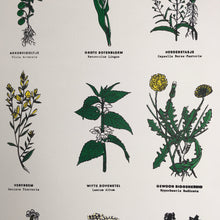 GENTSE BLOMMMEKES - zeefdruk incl. houten ophangsysteem