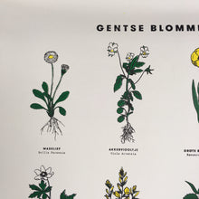 GENTSE BLOMMMEKES - zeefdruk incl. houten ophangsysteem
