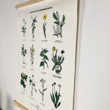 GENTSE BLOMMMEKES - zeefdruk incl. houten ophangsysteem