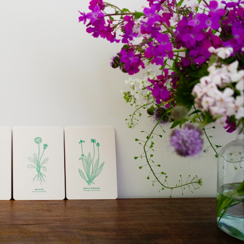 Vierwekelijks Blommmeke