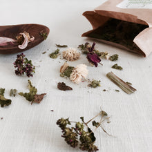 BLOMMM’N & KRUIDEN INFUSIE : COSMOS BLOMMM
