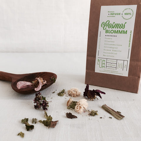 BLOMMM’N & KRUIDEN INFUSIE : COSMOS BLOMMM