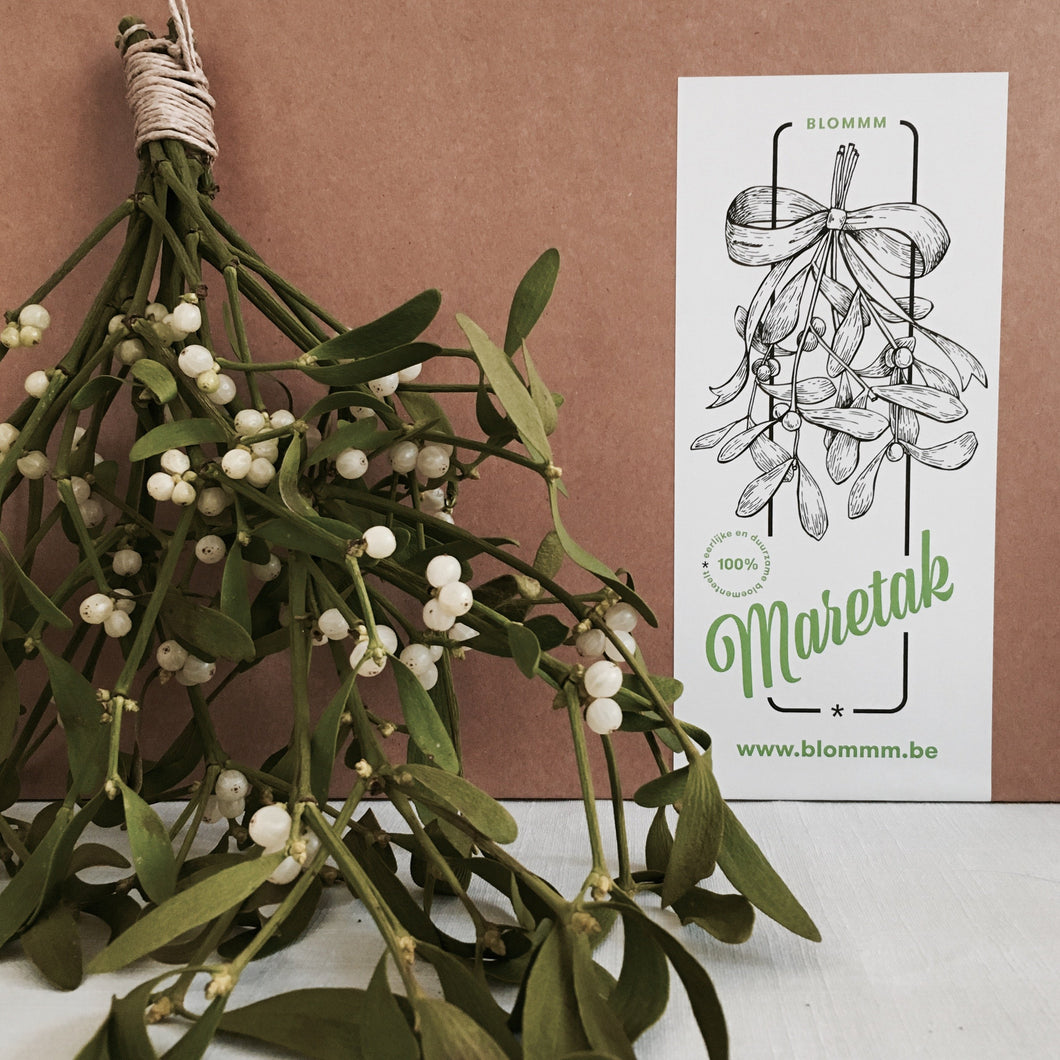 MARETAK - mistletoe cadeaudoos