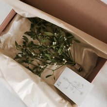 MARETAK - mistletoe cadeaudoos